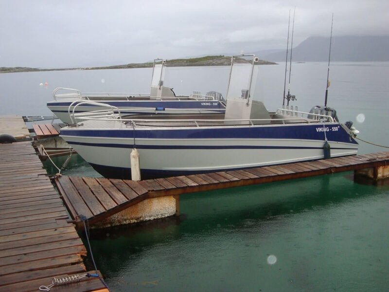 VIKING 550C