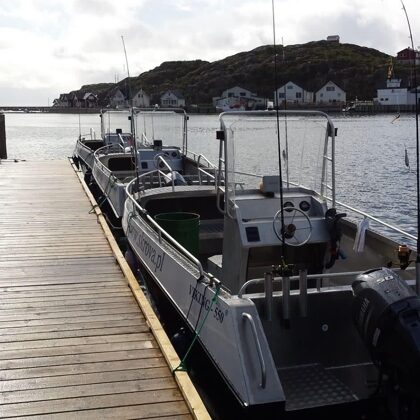 VIKING 550