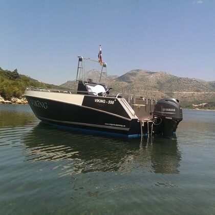 VIKING 550 C