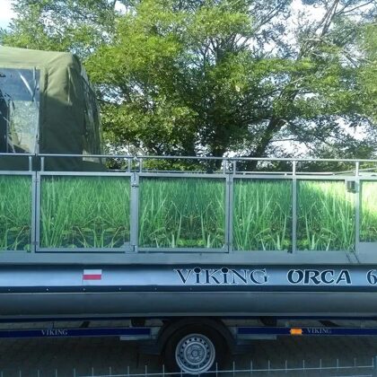 VIKING 610 ORCA