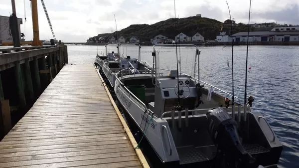 VIKING 550