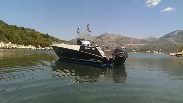 VIKING 550 C